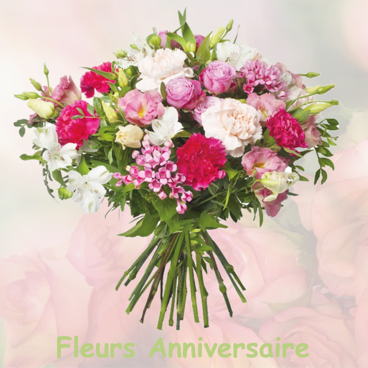 fleurs anniversaire HOUVILLE-EN-VEXIN